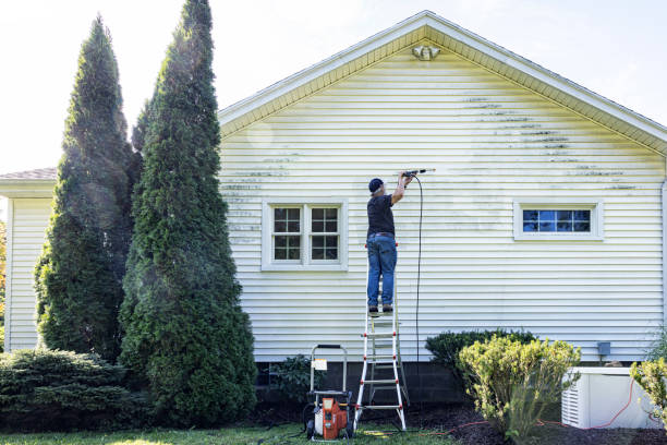 Best Local Pressure Washing Services  in Gloster, MS